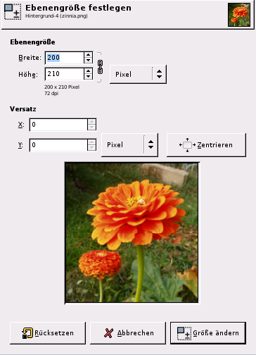 Das Dialogfenster Ebenengröße festlegen